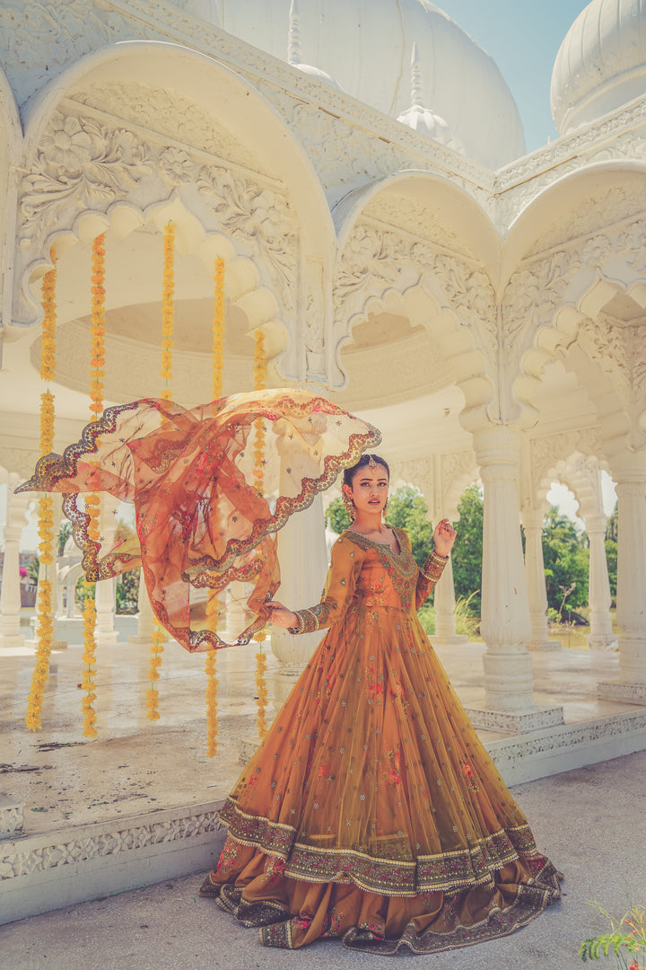 Kashees Naqsh Collection| KNNC-13|