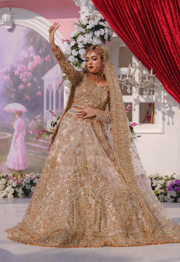 Kashees Bridal Wear| KBW-095 |