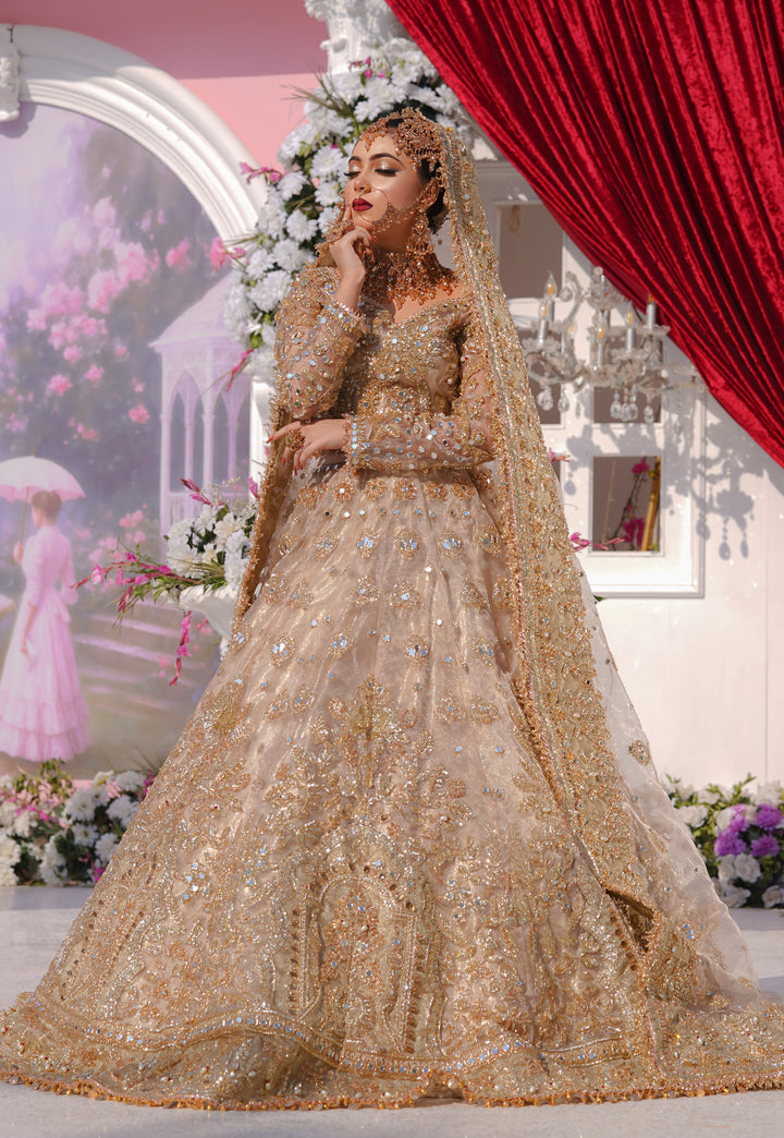 Kashees Bridal Wear| KBW-095 |