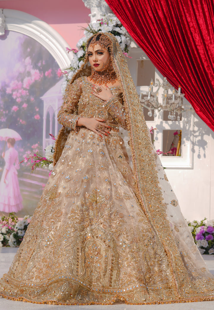 Kashees Bridal Wear| KBW-095 |