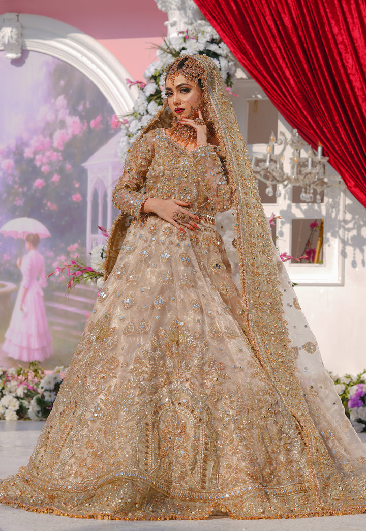 Kashees Bridal Wear| KBW-095 |