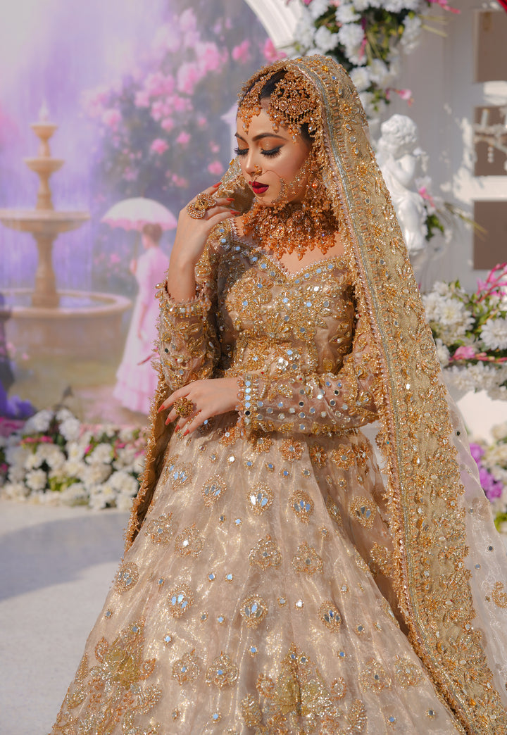 Kashees Bridal Wear| KBW-095 |