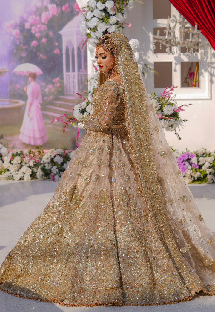 Kashees Bridal Wear| KBW-095 |