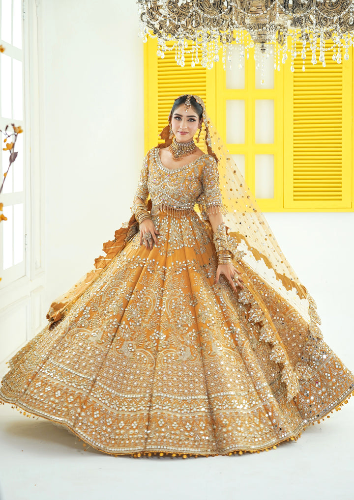 Kashees Bridal Wear| KBW-172 |