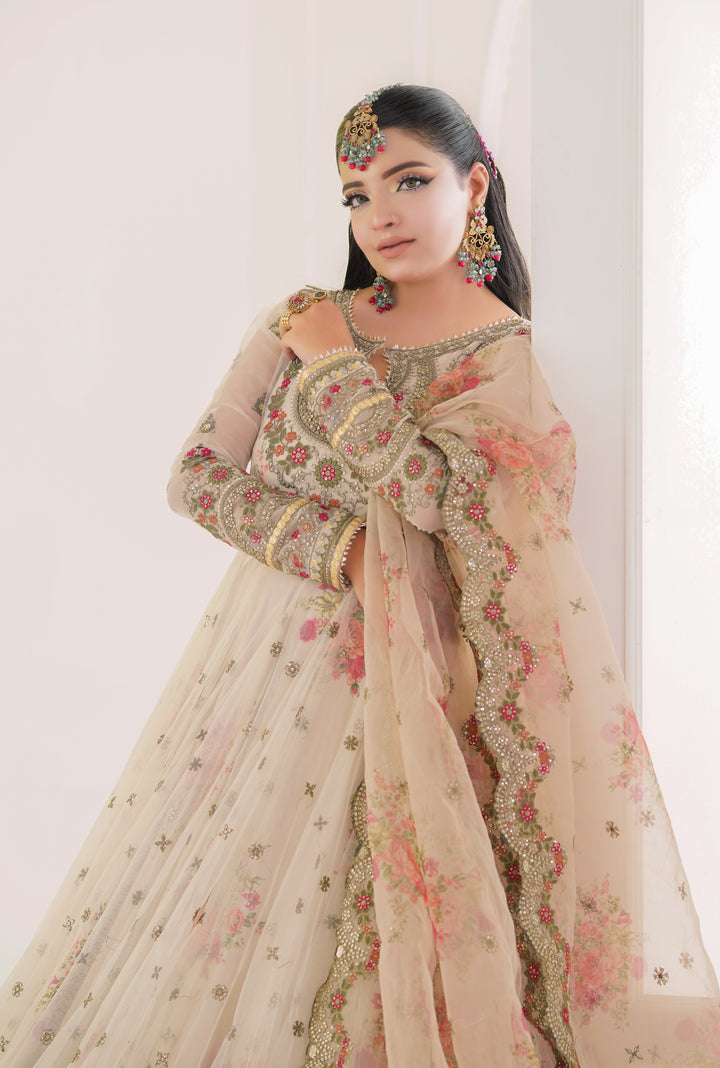 Kashees Naqsh Collection| KNNC-15|