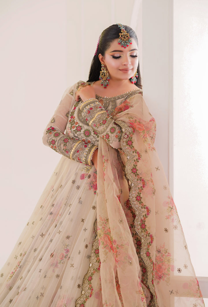 Kashees Naqsh Collection| KNNC-15|