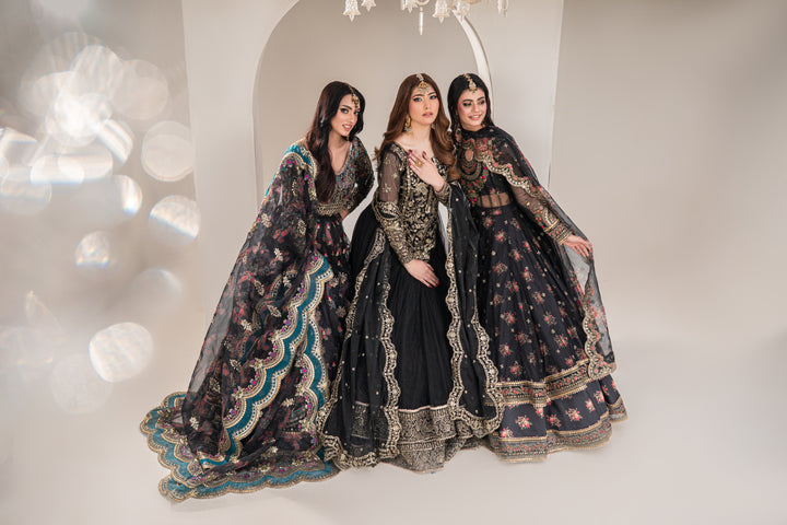 Kashees Naqsh Collection| KNNC-3|