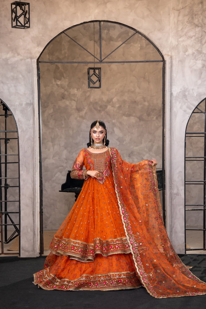 Kashees Naqsh Collection| KNNC-5|