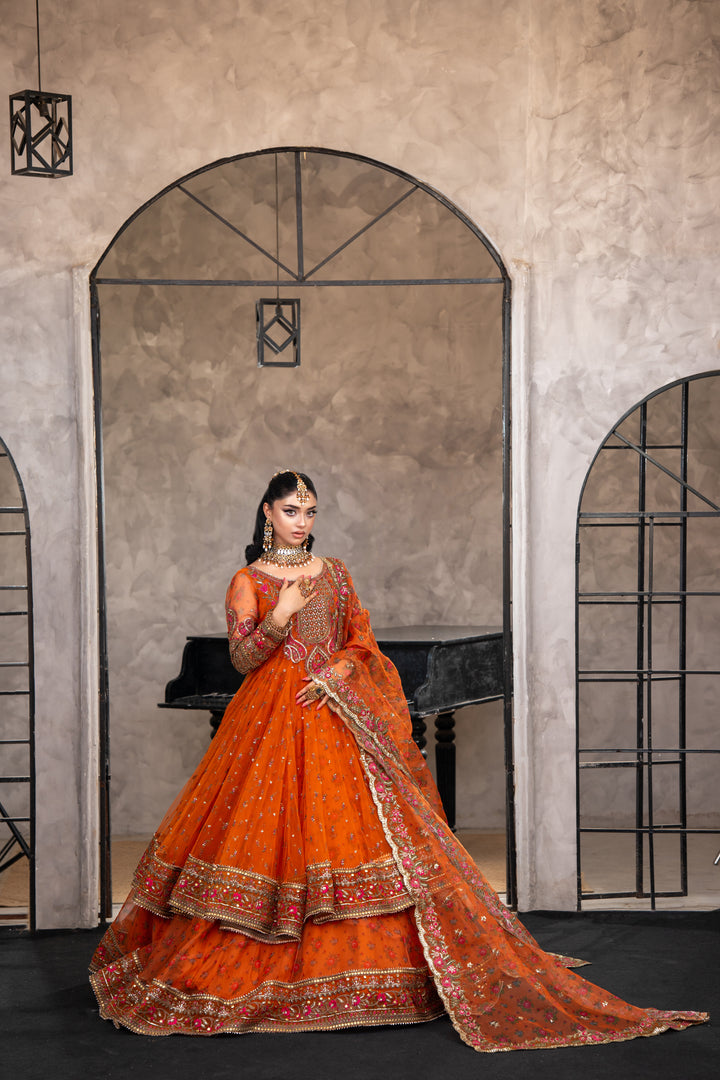 Kashees Naqsh Collection| KNNC-5|