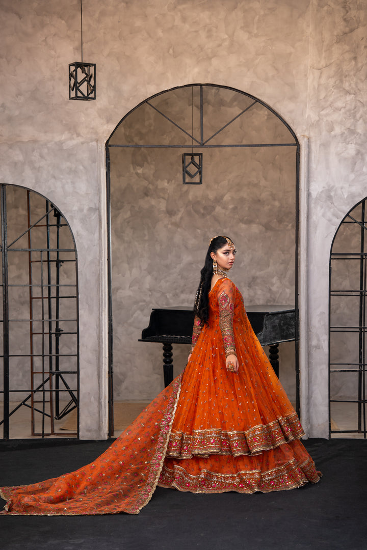 Kashees Naqsh Collection| KNNC-5|