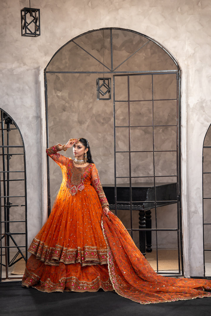Kashees Naqsh Collection| KNNC-5|