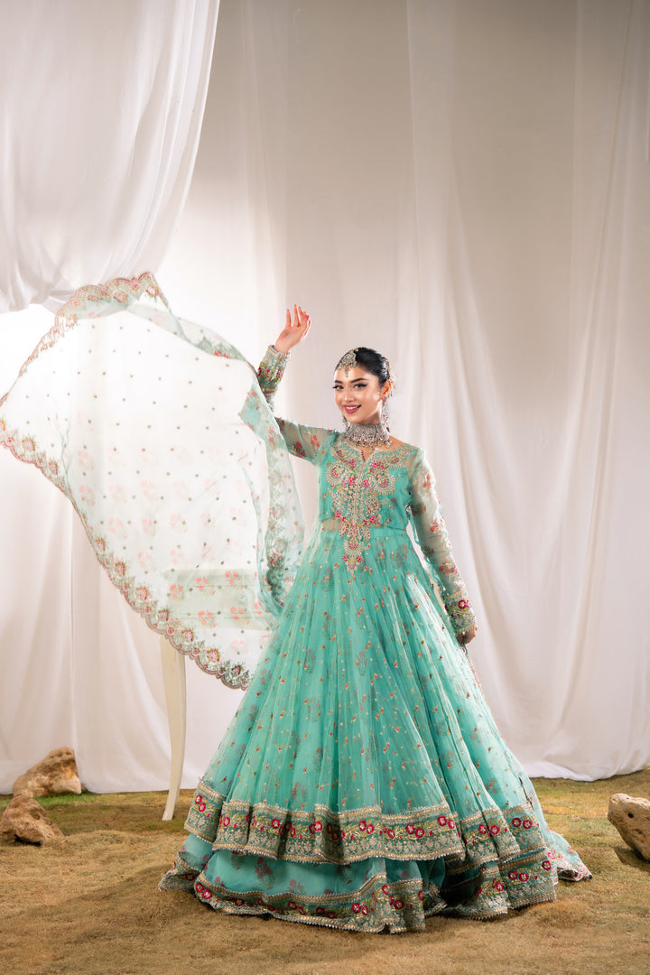 Kashees Naqsh Collection| KNNC-8|