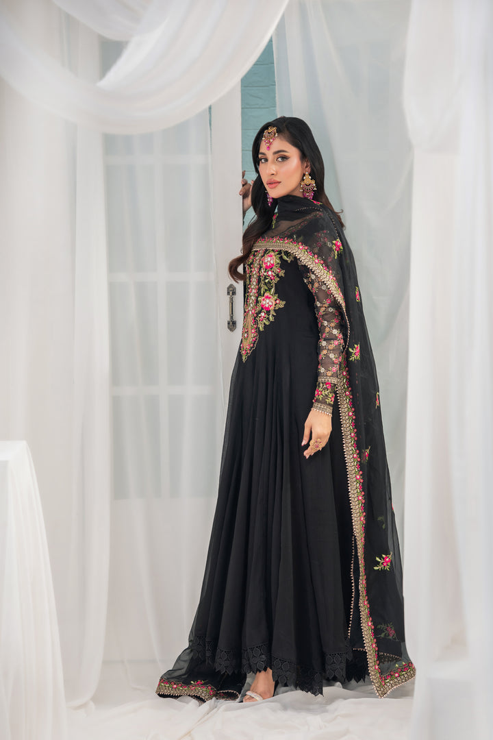 Kashees Naaz Collection | VOL-7 |