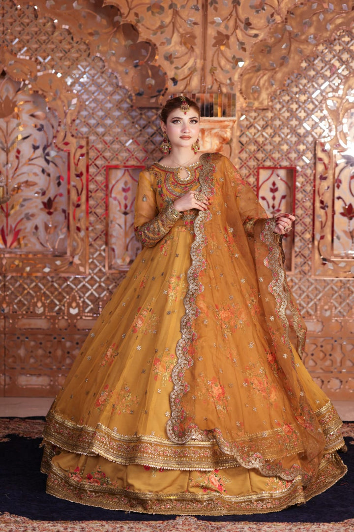 Kashees Naqsh Collection| KNNC-11|