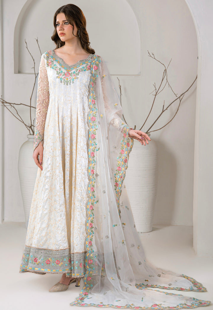 Kashees Naaz Collection | VOL-6 |