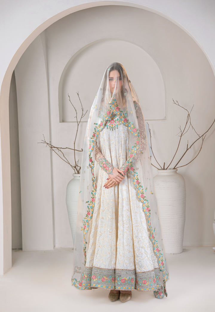 Kashees Naaz Collection | VOL-6 |