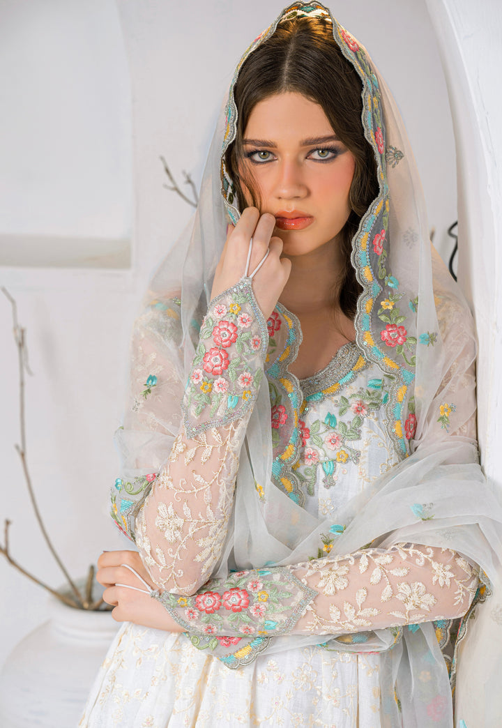 Kashees Naaz Collection | VOL-6 |