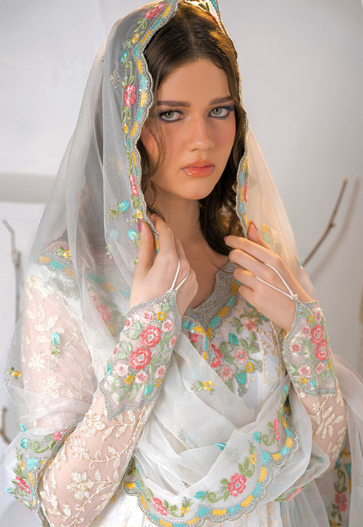 Kashees Naaz Collection | VOL-6 |